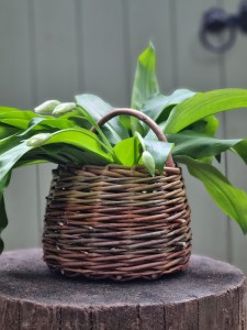 Willow Basket
